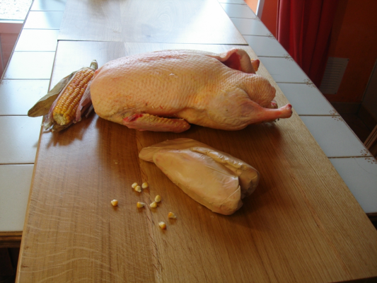 Canard Gras Entier avec foie (GAEC DE LA CROIX SOLEIL)