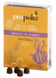 Gommes de propolis miel et réglisse (LA RUCHE DES COMBRAILLES)