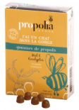 Gommes propolis Miel et Eucalyptus (LA RUCHE DES COMBRAILLES)